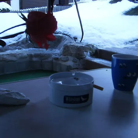 Värdshus Casa Job - - Sauna, Whirlpool - Trun