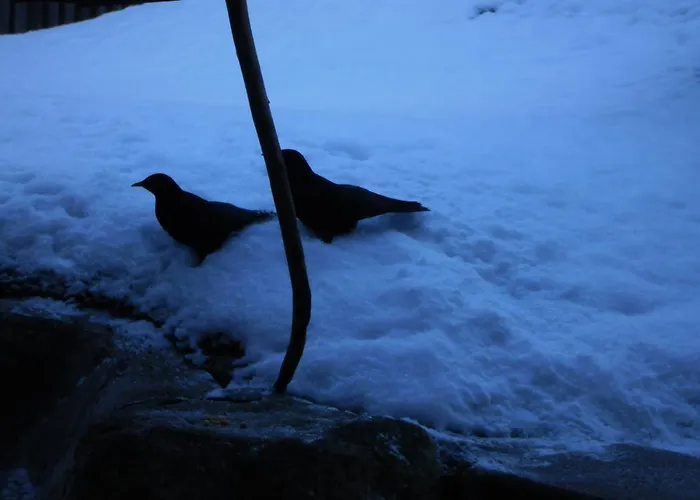 Casa Job - - Sauna, Whirlpool - *