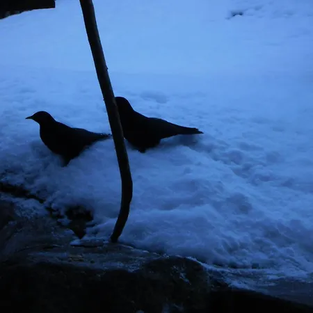 Casa Job - - Sauna, Whirlpool - *